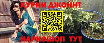 гидра Краснознаменск