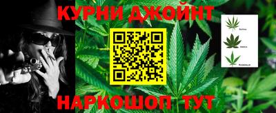 гидра Краснознаменск