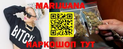 гидра Краснознаменск
